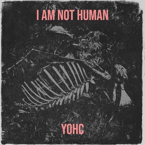 I Am Not Human cover art