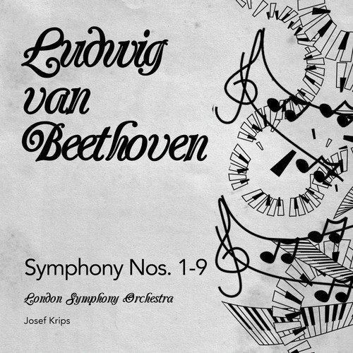 Symphony No. 9 in D Minor, Op. 125, "Choral": I. Allegro ma non troppo, un poco maestoso