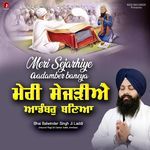 Meri Sejarhiye Aadamber Baneya