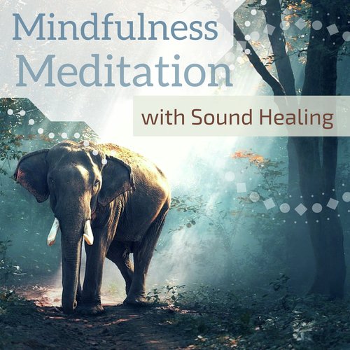 Mindfulness Meditation with Sound Healing - 80 Songs for Healing Anxiety & Inner Peace_poster_image