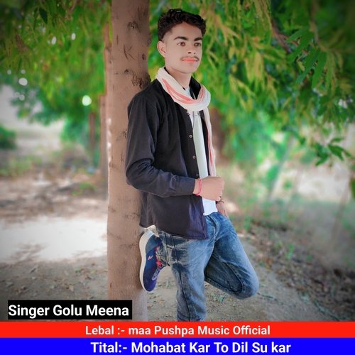 Mohabat Kar To Dil Su Kar