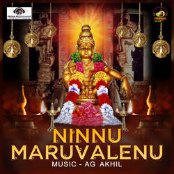 Ninnu Maruvalenu-Bg0,CA54enE