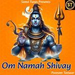 Om Namah Shivay