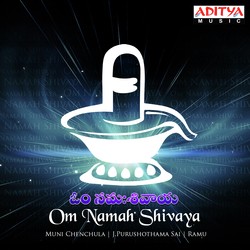 Om Namah Shivaya-P10kYQQAZFI