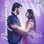 Payaname (From "Seetha Payanam") (Telugu)