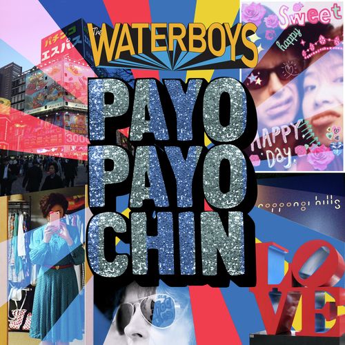 Payo Payo Chin_poster_image