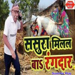 Sasura Milal Ba Rangdar