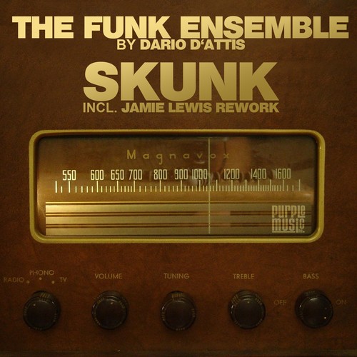 The Funk Ensemble