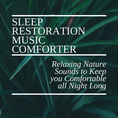 REM Sleep Inducing cover art
