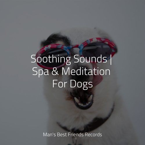 Soothing Sounds | Spa & Meditation For Dogs