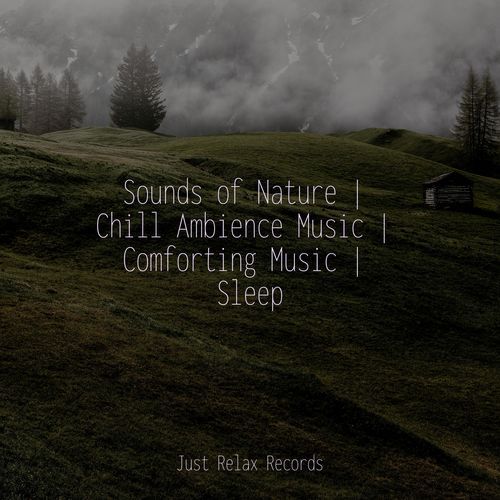 Sounds of Nature | Chill Ambience Music | Comforting Music | Sleep_poster_image