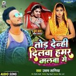 Tod denhi dilwa hamar malwa ge