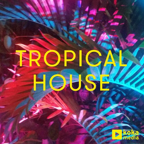 Tropical House_poster_image