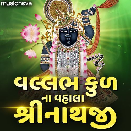 Vallabh Kulna Vhala Shrinathji