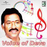 Meenatchi Meenatchi (From "Ananda Poonkaatrae") artwork