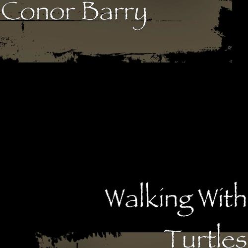 Walking With Turtles