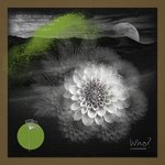 Who (Haze-M Remix)