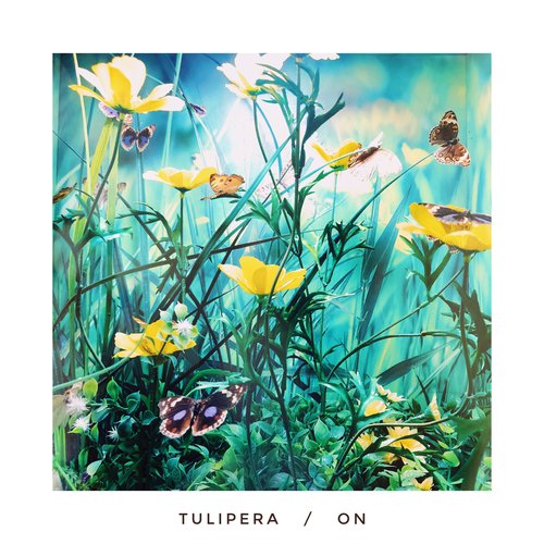 oN cover art