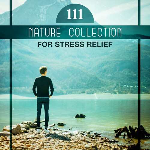 111 Nature Collection for Stress Relief (Soothing Music to Work, Stop Depression, Hard Moments, Be Calm & Total Rest)