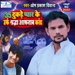 35 Tukade Pyar Ke urf Shraddha Aftab Kand artwork