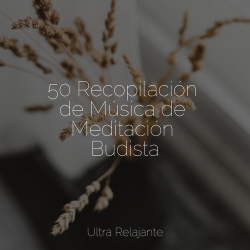 50 Recopilación de Música de Meditación Budista