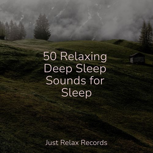 50 Relaxing Deep Sleep Sounds for Sleep