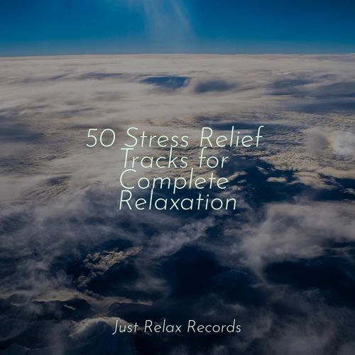 50 Stress Relief Tracks for Complete Relaxation_poster_image