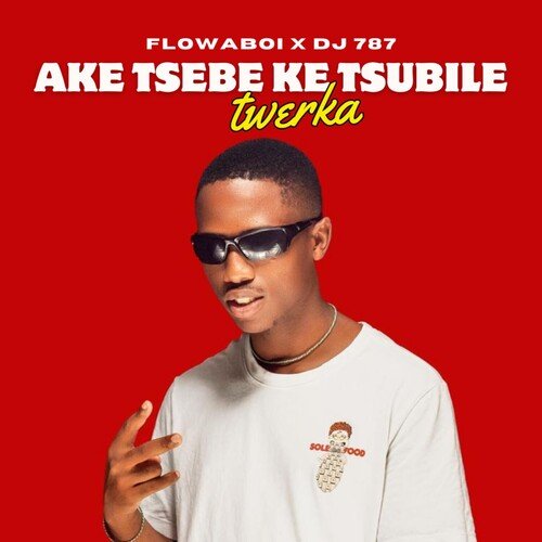 Ake Tsebe Ke Tsubile(Twerka)_poster_image