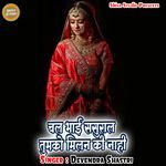 Chal Bhai Sasuraal Tumko Milan Ki Naahi