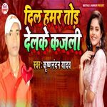 Dil Hamar Tod Delake Kajali