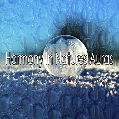 Harmony In Natures Auras