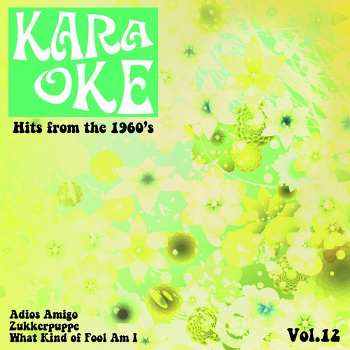 Karaoke - Hits from the 1960's, Vol. 12