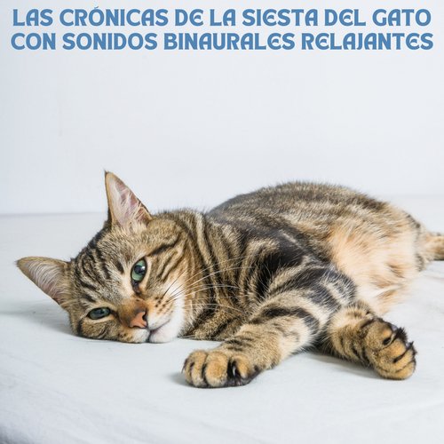 Canciones De Cuna cover art