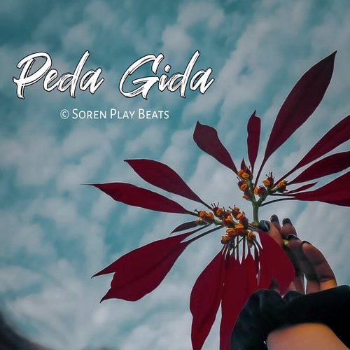 Peda Gida