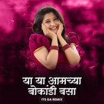 Ya Ya Amchya Bokandi Basa (DJ Remix)
