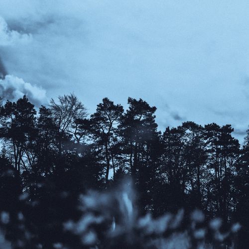 in the quiet of loss