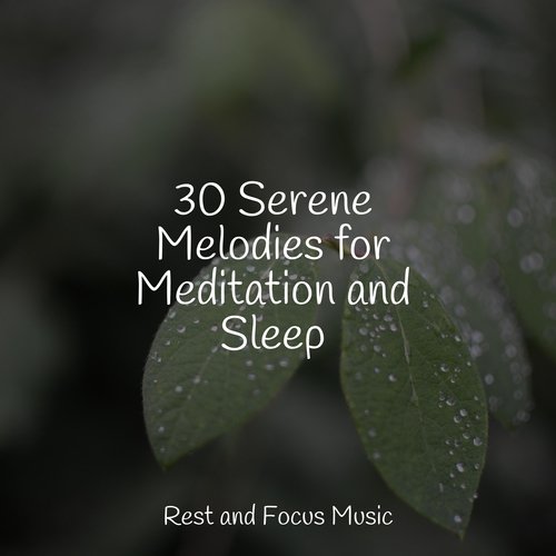 30 Serene Melodies for Meditation and Sleep