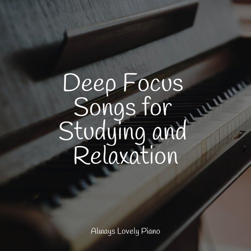 50 Background Melodies for Complete Relaxation