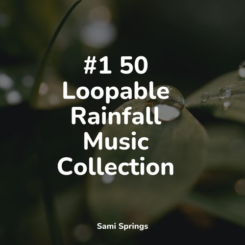 50 Perfect Focus Rain Sounds for Spa & Serenity