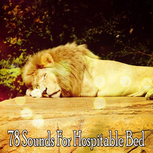 78 Sounds For Hospitable Bed