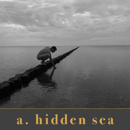 A. Hidden Sea_poster_image