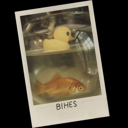 Bihes
