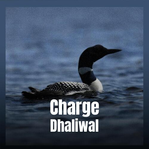 Charge Dhaliwal cover art