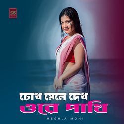 Chokh Mele Dekh Ore Pakhi