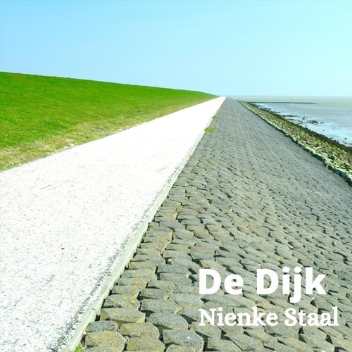 De Dijk cover art