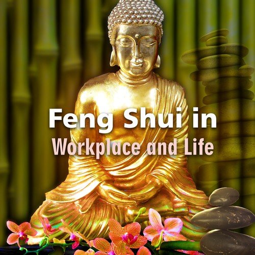 Tai Chi and Qi Gong cover art