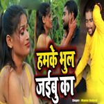 Hamke Bhul Jaibu Ka
