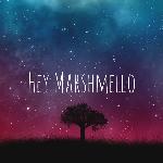Hey Marshmello
