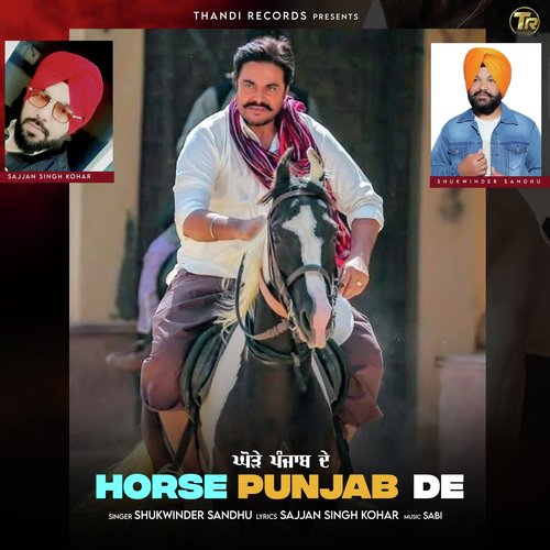 Horse Punjab De