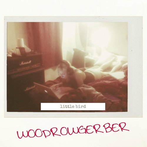 Little Bird cover art